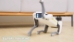A.I D.O.G - 17029