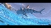 RoboShark - 17006