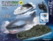 Shark Croc Speedboat R/C - 17017-B